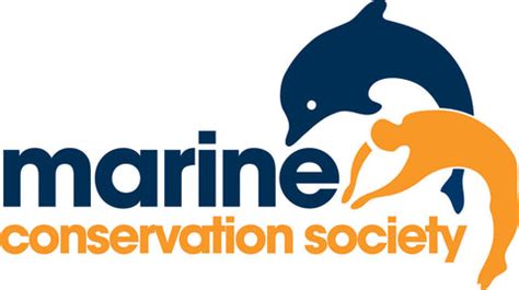 ocean plastic charity uk.